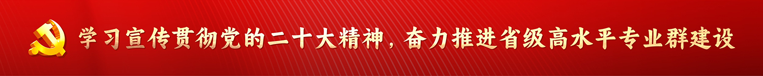 学习宣传贯彻党的二十大精神，奋力推进省级高水平专业群建设